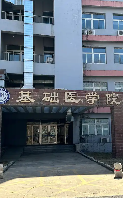 教学模拟医用气体解决方案